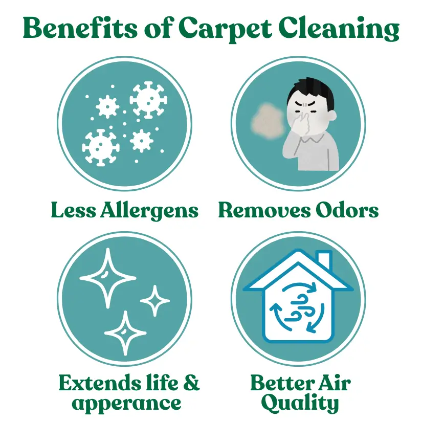 carpet cleaning benefits