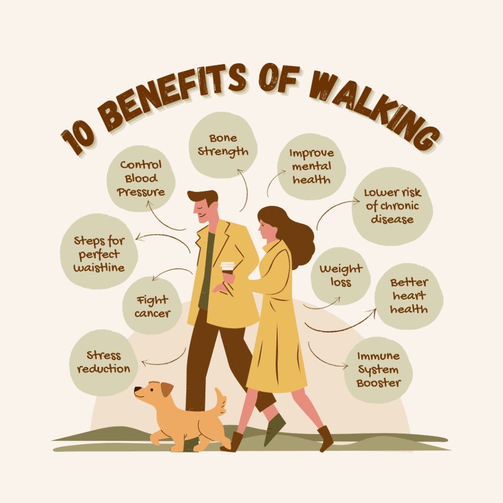 10 benefits of dog walking