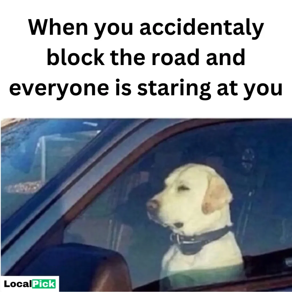 driving joke