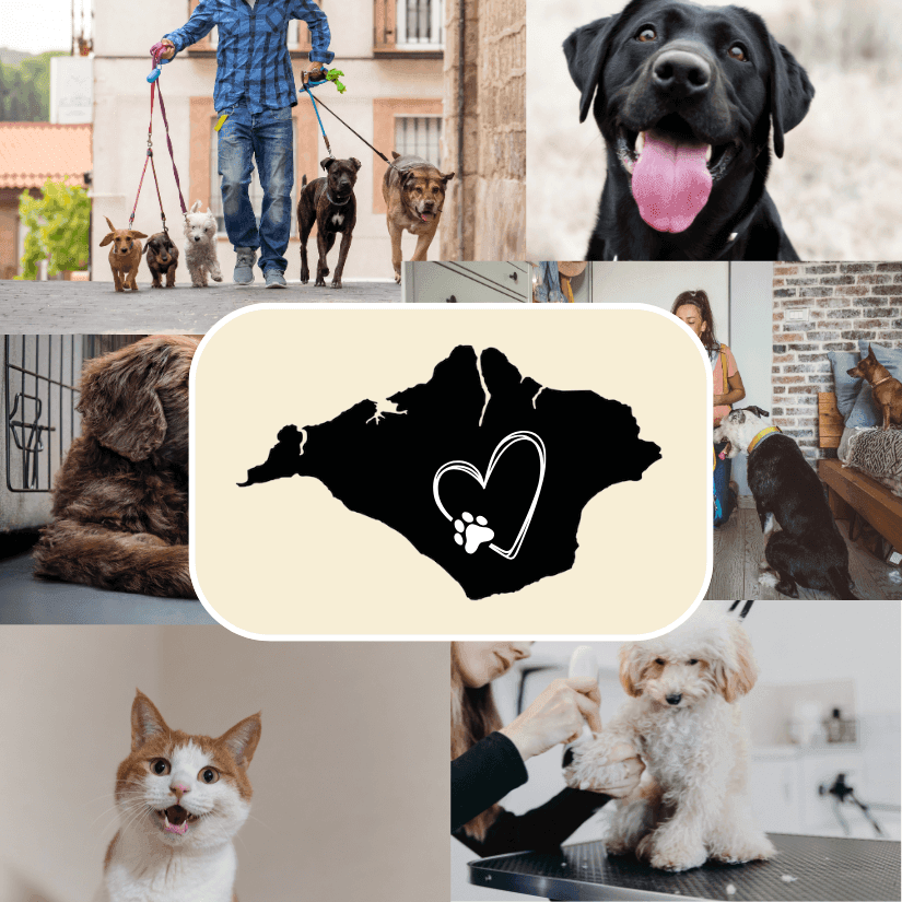 Isle of wight pet services title banner
